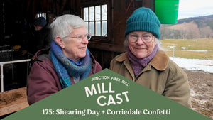 Millcast Episode 175: Shearing Day + Corriedale Confetti