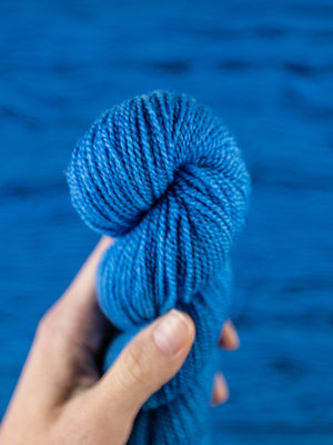 Roots LITE: Bachelor Button