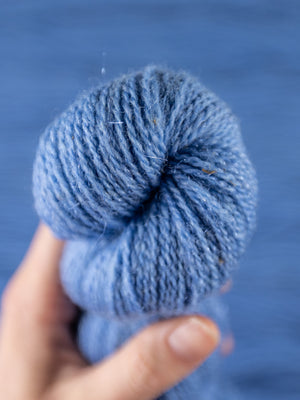 Experiment LITE: Prom