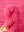 Roots: Very Cherry