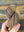 Making Tracks Lite: Dutchess