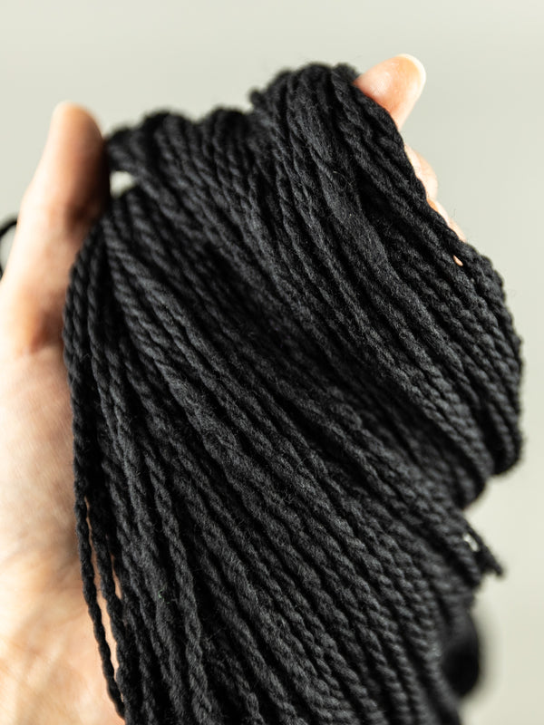 Experiment: Black Spanish Merino