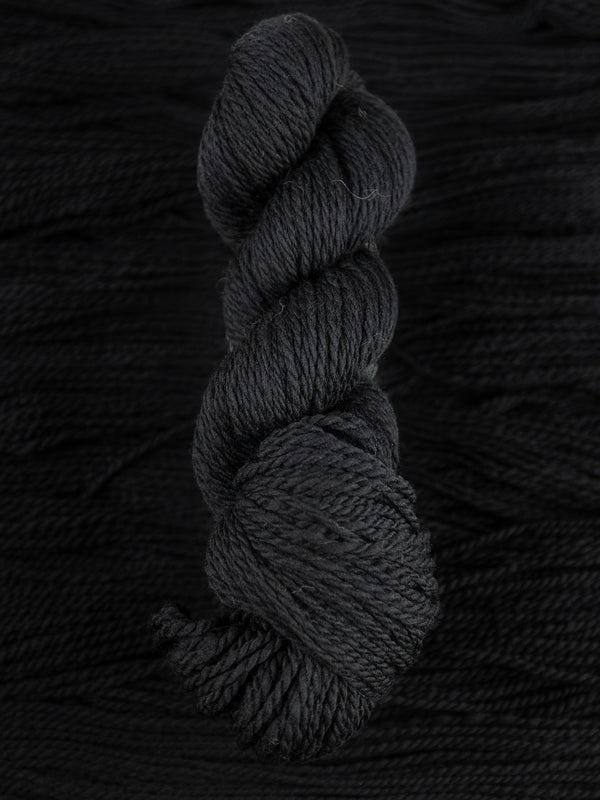 Experiment: Black Spanish Merino