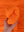 Roots: Hunting Season Orange