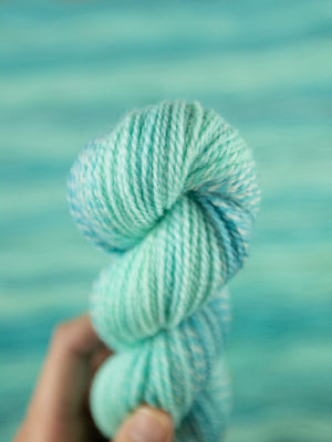 Making Tracks LITE: Ocean Eyes