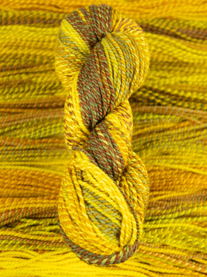 Making Tracks: Leaves in the Brook