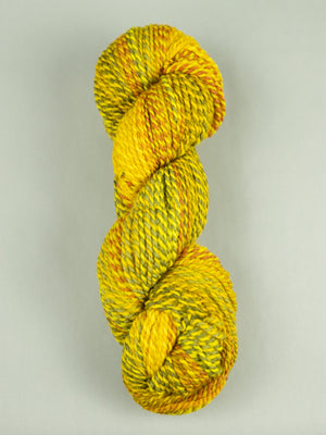 Making Tracks: Leaves in the Brook