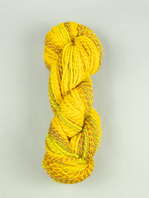 Making Tracks: Leaves in the Brook