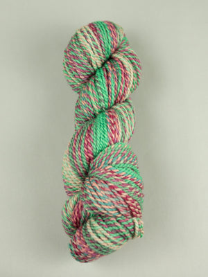 Making Tracks: Winterberry